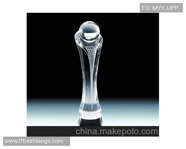 足球明星个人奖杯的辉煌历程与背后故事解析